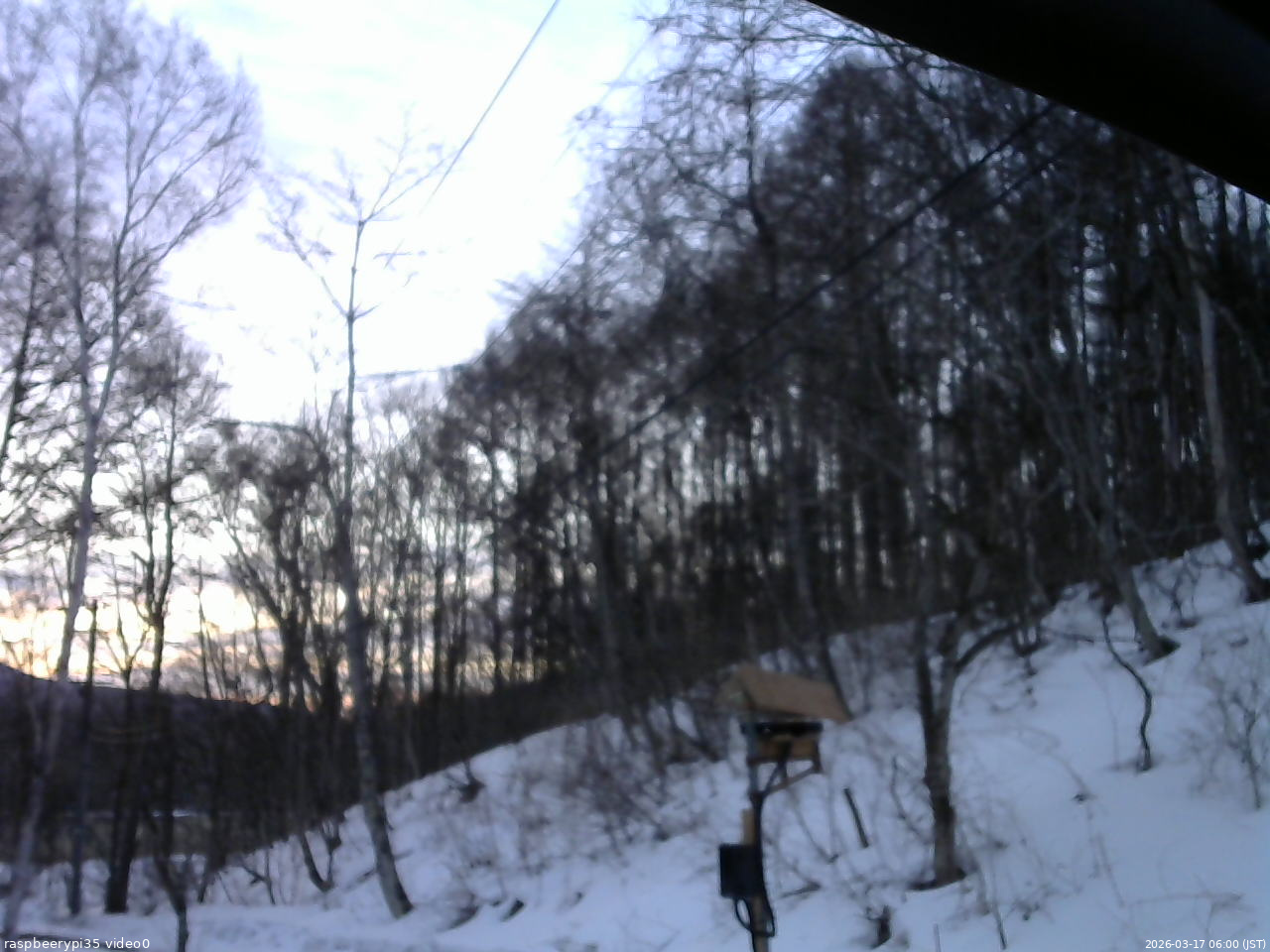 長野県菅平高原 ゆたか山荘 温度計 2026/03/17 06:00
