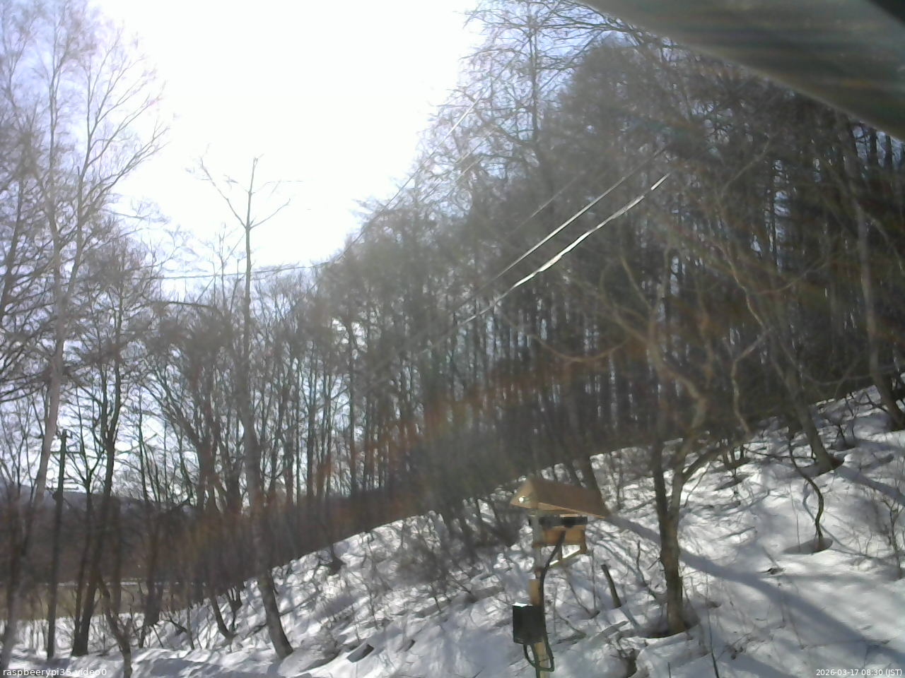 長野県菅平高原 ゆたか山荘 温度計 2026/03/17 08:30