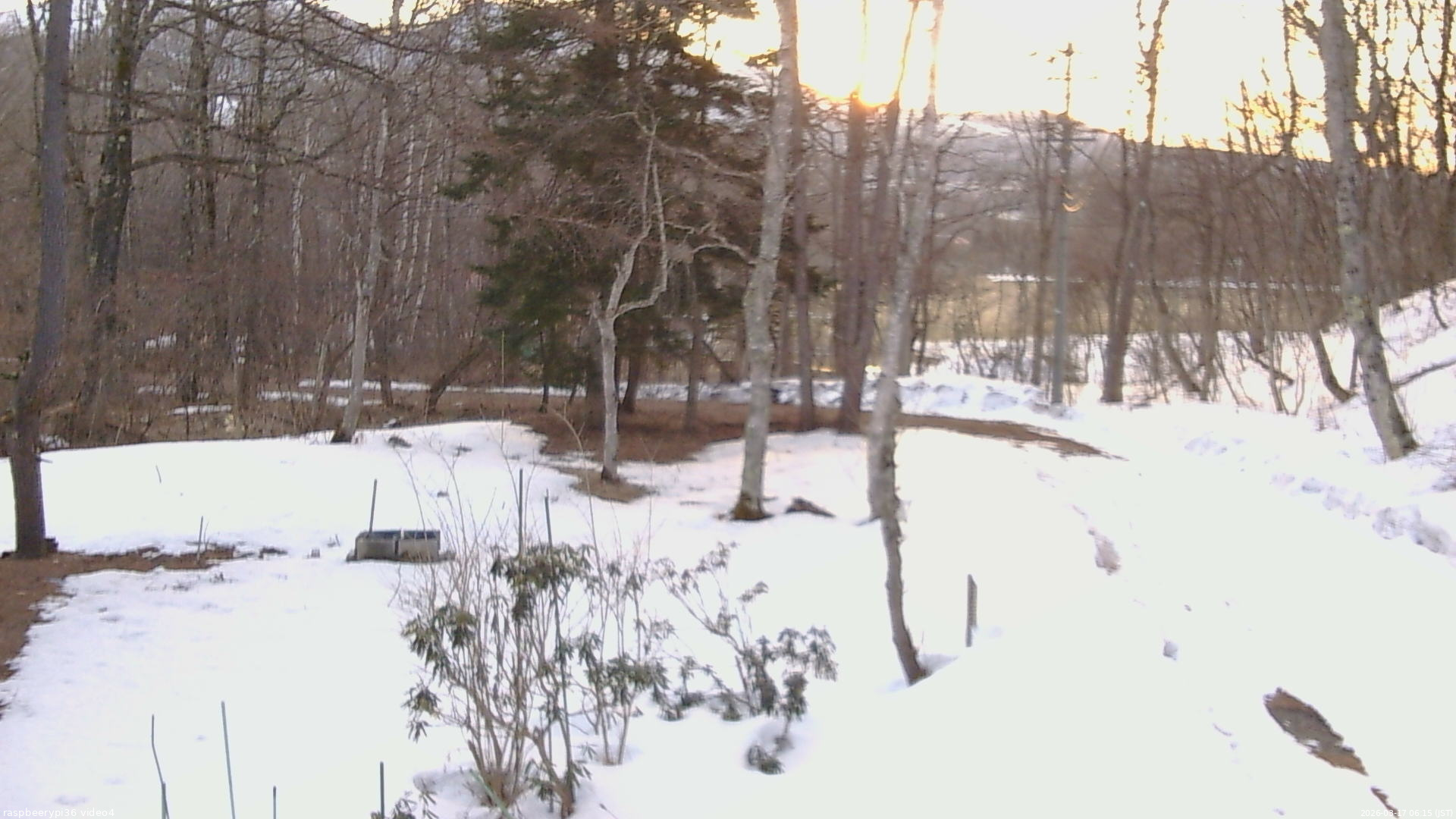 長野県菅平高原 ゆたか山荘 坂上 2026/03/17 06:15