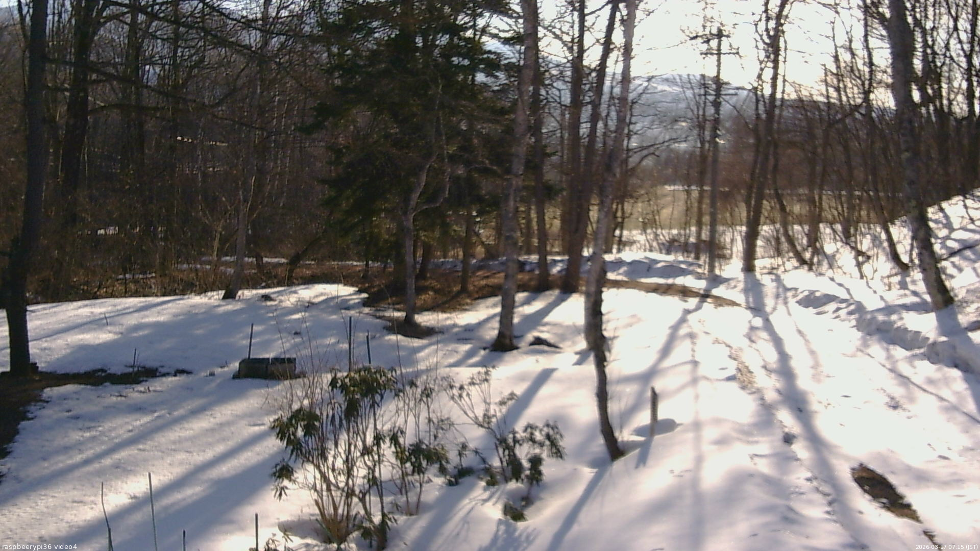 長野県菅平高原 ゆたか山荘 坂上 2026/03/17 07:15
