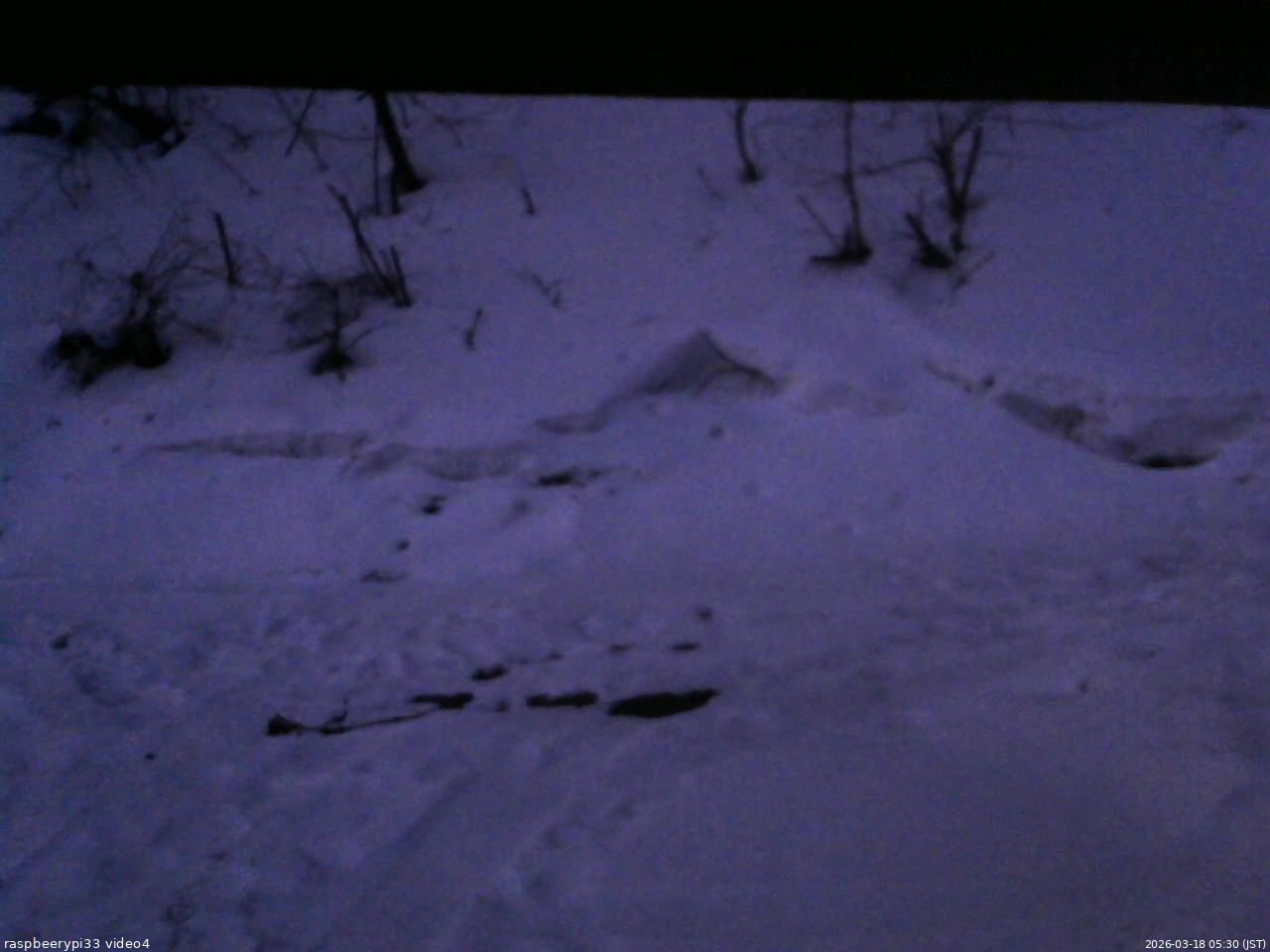 長野県菅平高原 ゆたか山荘 東側(坂下) 2026/03/18 05:30