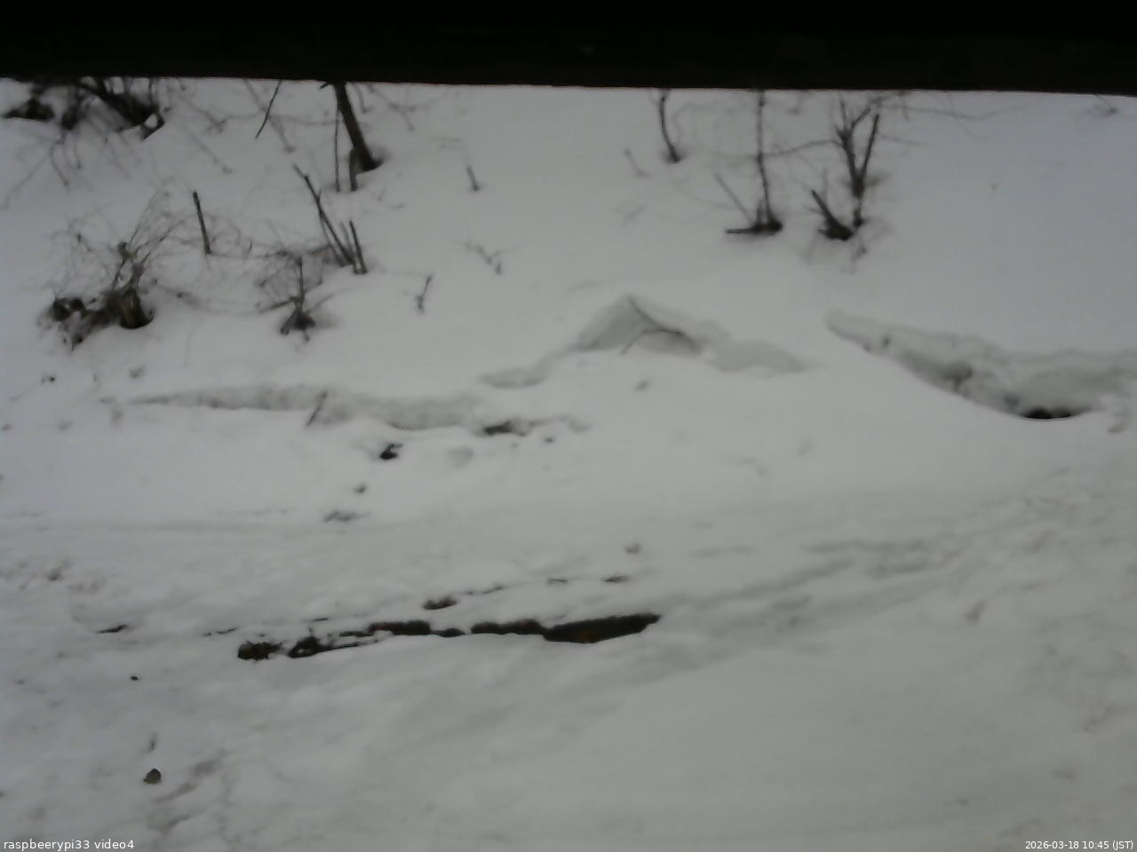 長野県菅平高原 ゆたか山荘 東側(坂下) 2026/03/18 10:45