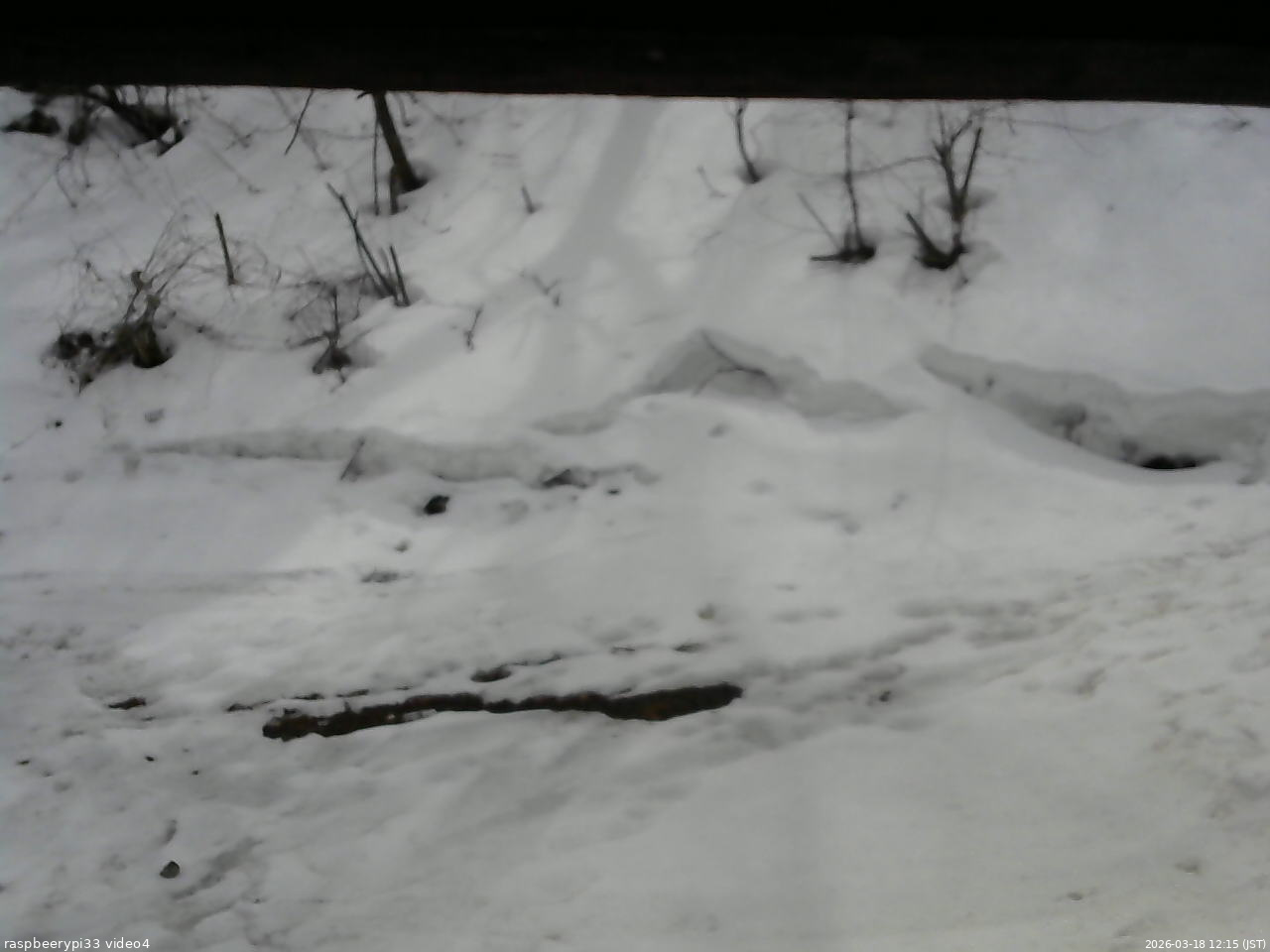 長野県菅平高原 ゆたか山荘 東側(坂下) 2026/03/18 12:15