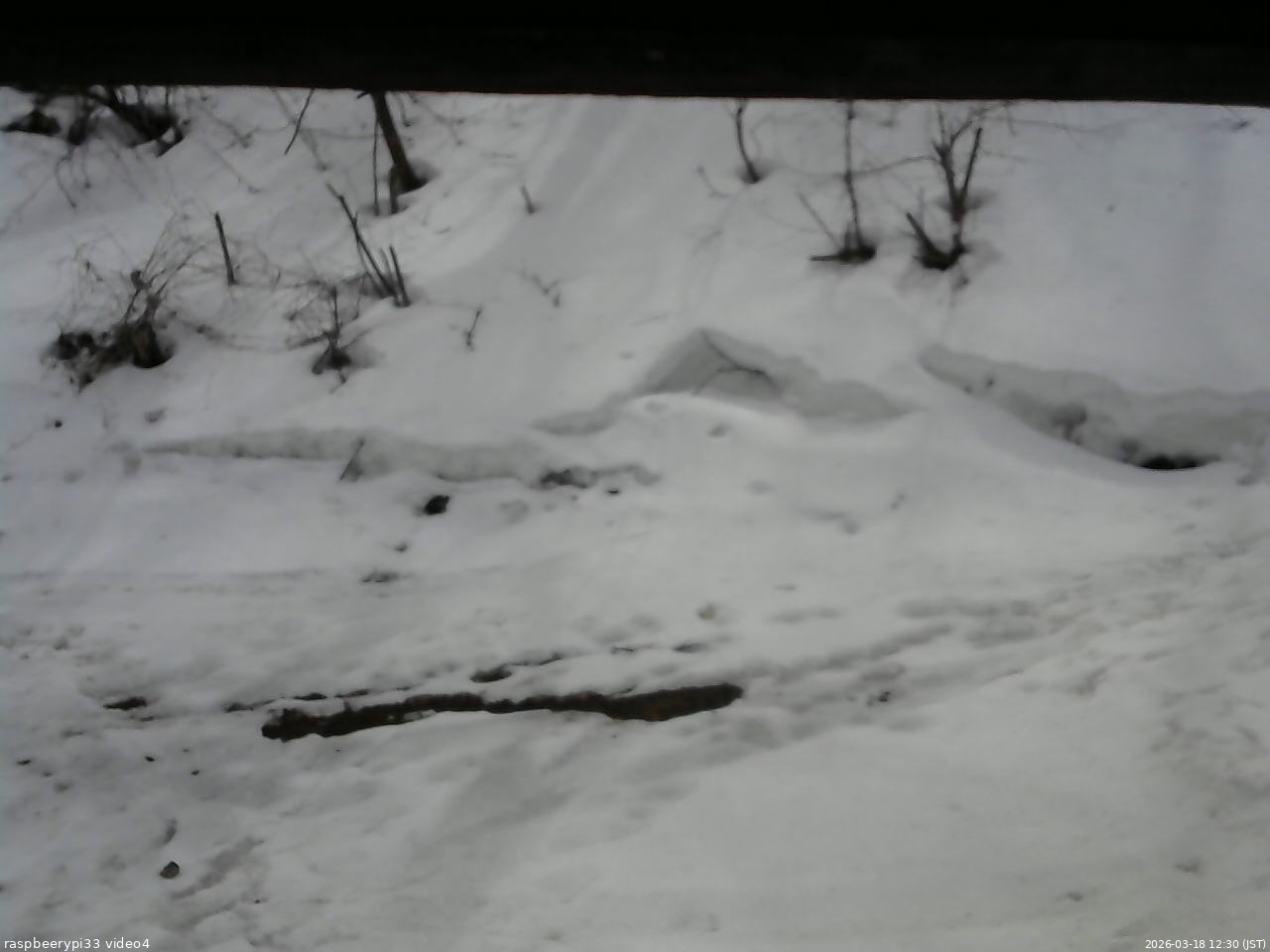 長野県菅平高原 ゆたか山荘 東側(坂下) 2026/03/18 12:30