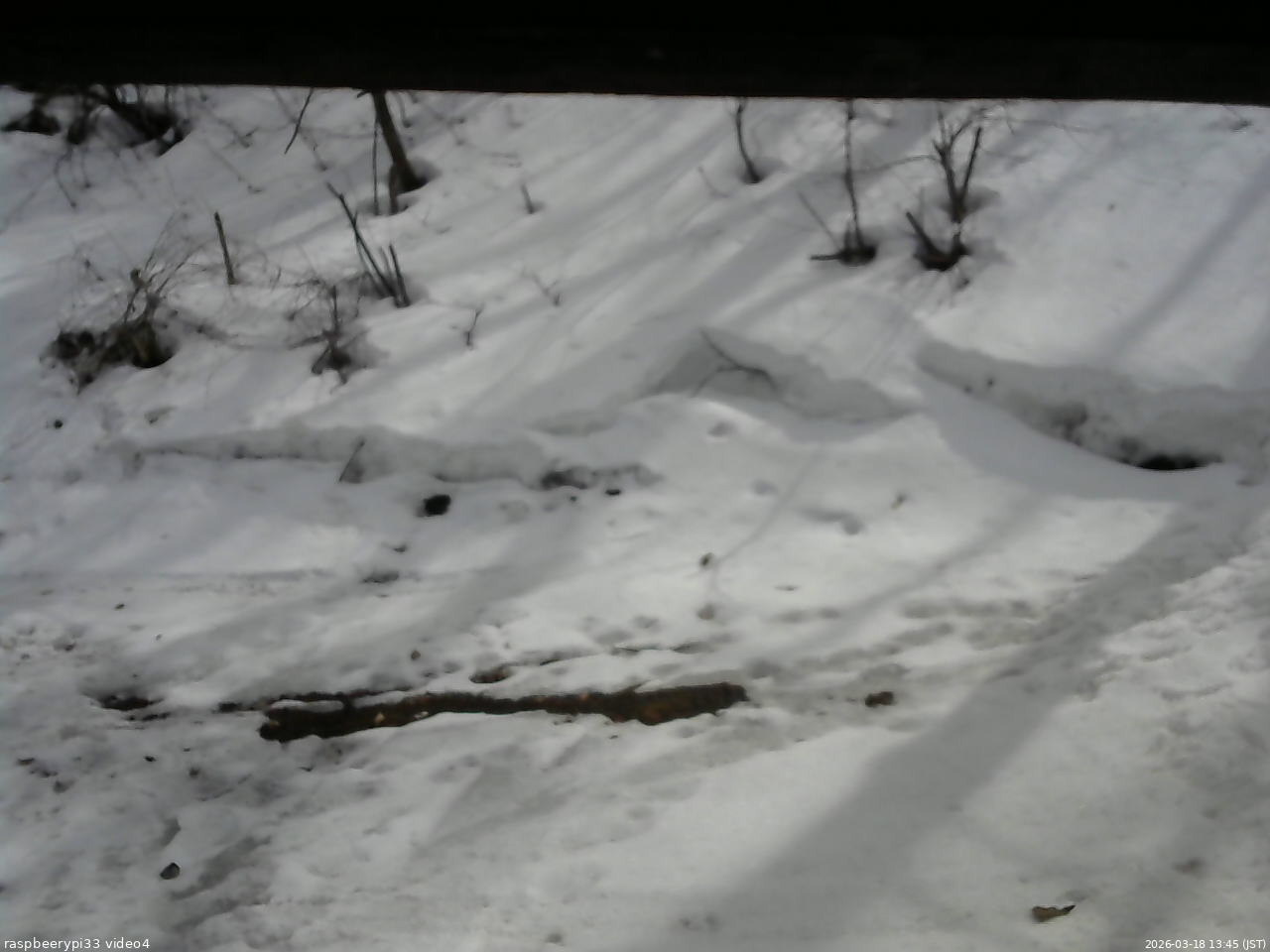 長野県菅平高原 ゆたか山荘 東側(坂下) 2026/03/18 13:45