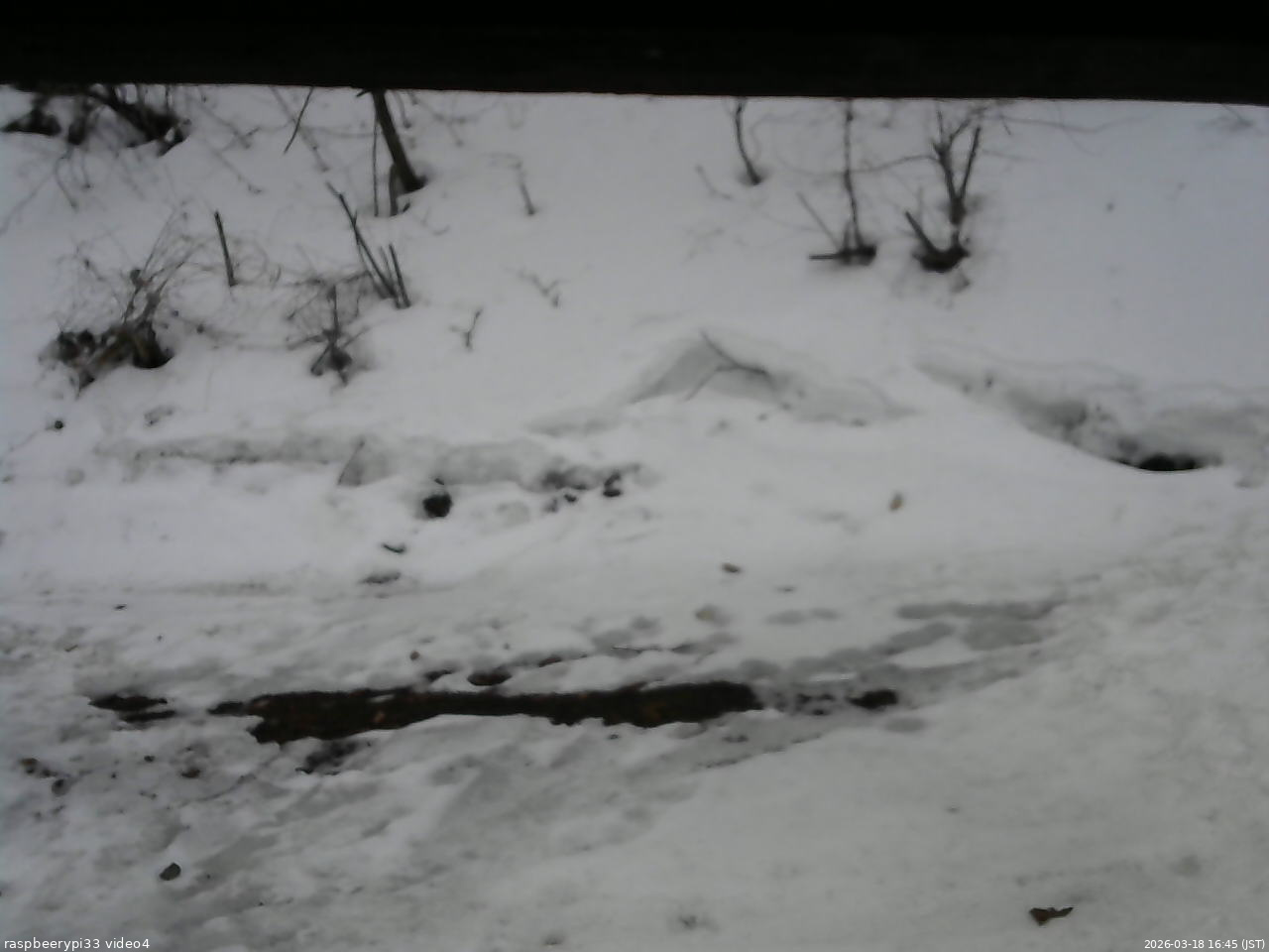 長野県菅平高原 ゆたか山荘 東側(坂下) 2026/03/18 16:45