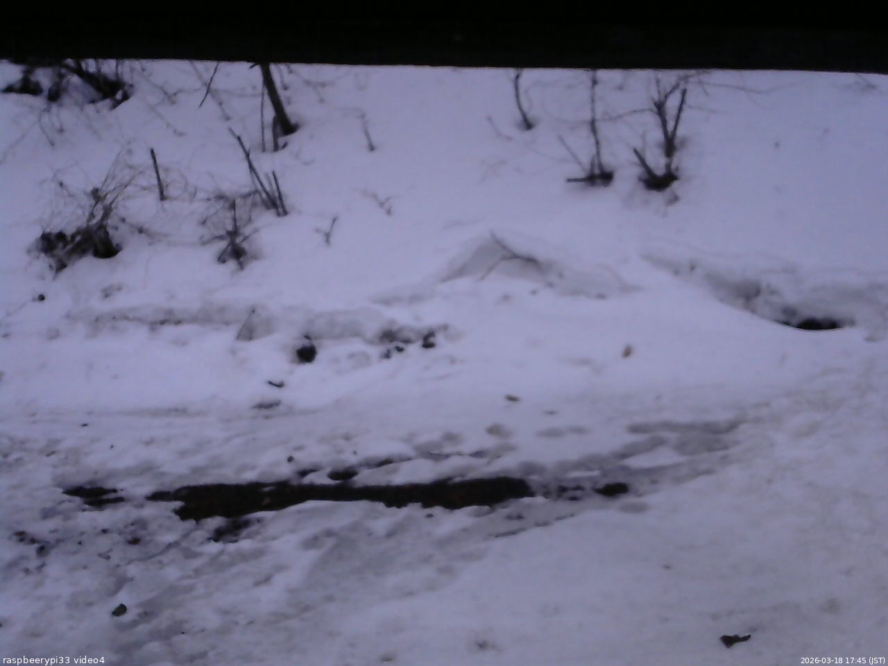 長野県菅平高原 ゆたか山荘 東側(坂下) 2026/03/18 17:45