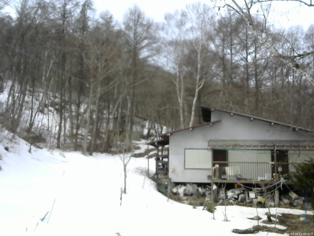 長野県菅平高原 ゆたか山荘 西側(坂上) 2026/03/18 11:00