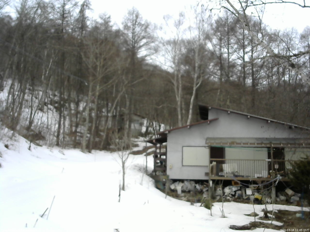 長野県菅平高原 ゆたか山荘 西側(坂上) 2026/03/18 11:45