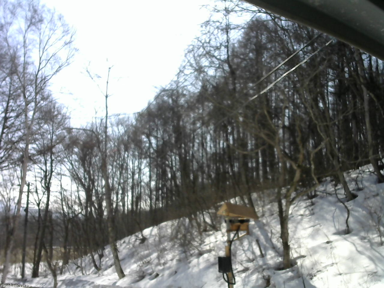 長野県菅平高原 ゆたか山荘 温度計 2026/03/18 09:00