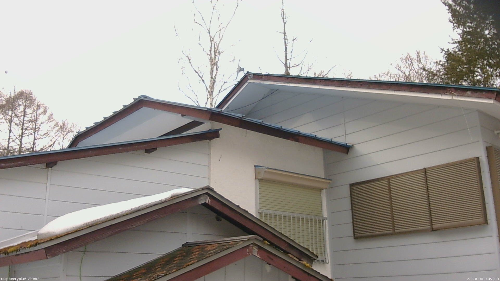 長野県菅平高原 ゆたか山荘 駐車場奥 2026/03/18 14:45