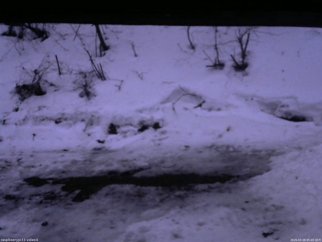 長野県菅平高原 ゆたか山荘 東側(坂下) 2026/03/19 05:45