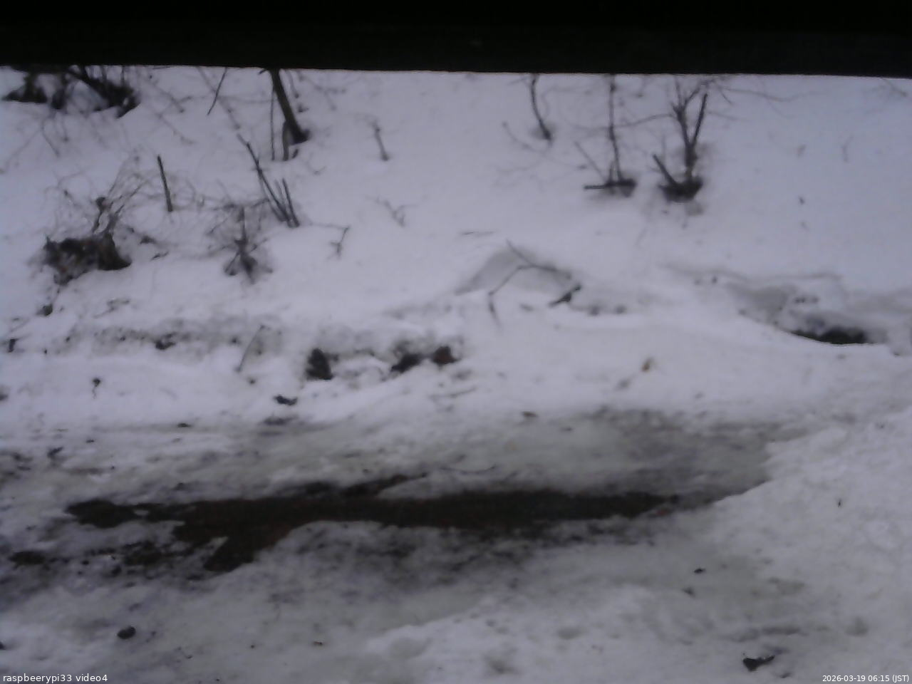 長野県菅平高原 ゆたか山荘 東側(坂下) 2026/03/19 06:15