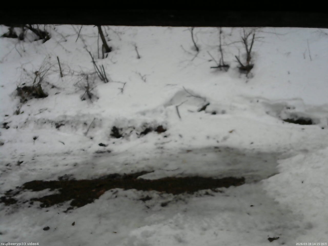 長野県菅平高原 ゆたか山荘 東側(坂下) 2026/03/19 14:15