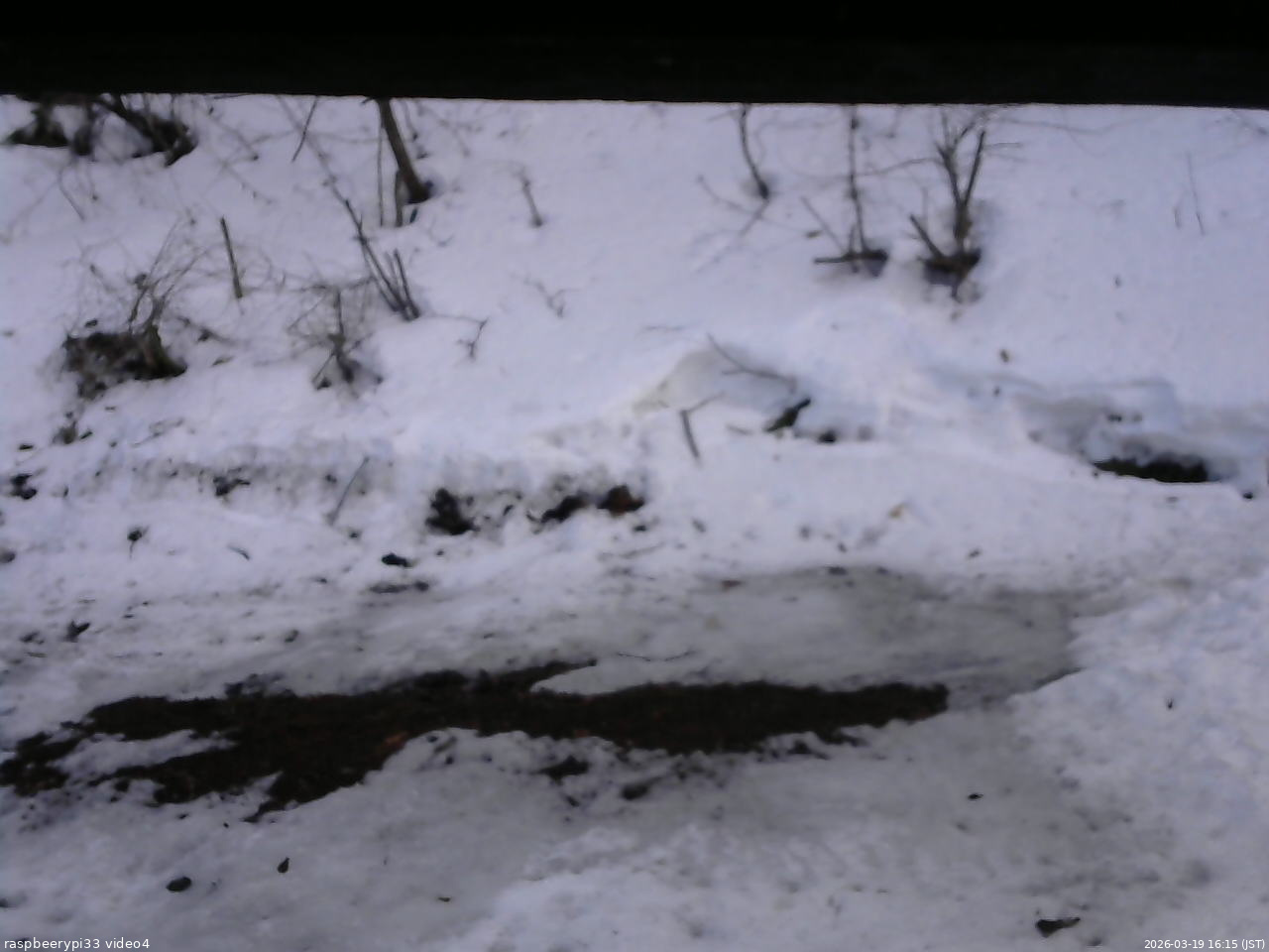 長野県菅平高原 ゆたか山荘 東側(坂下) 2026/03/19 16:15