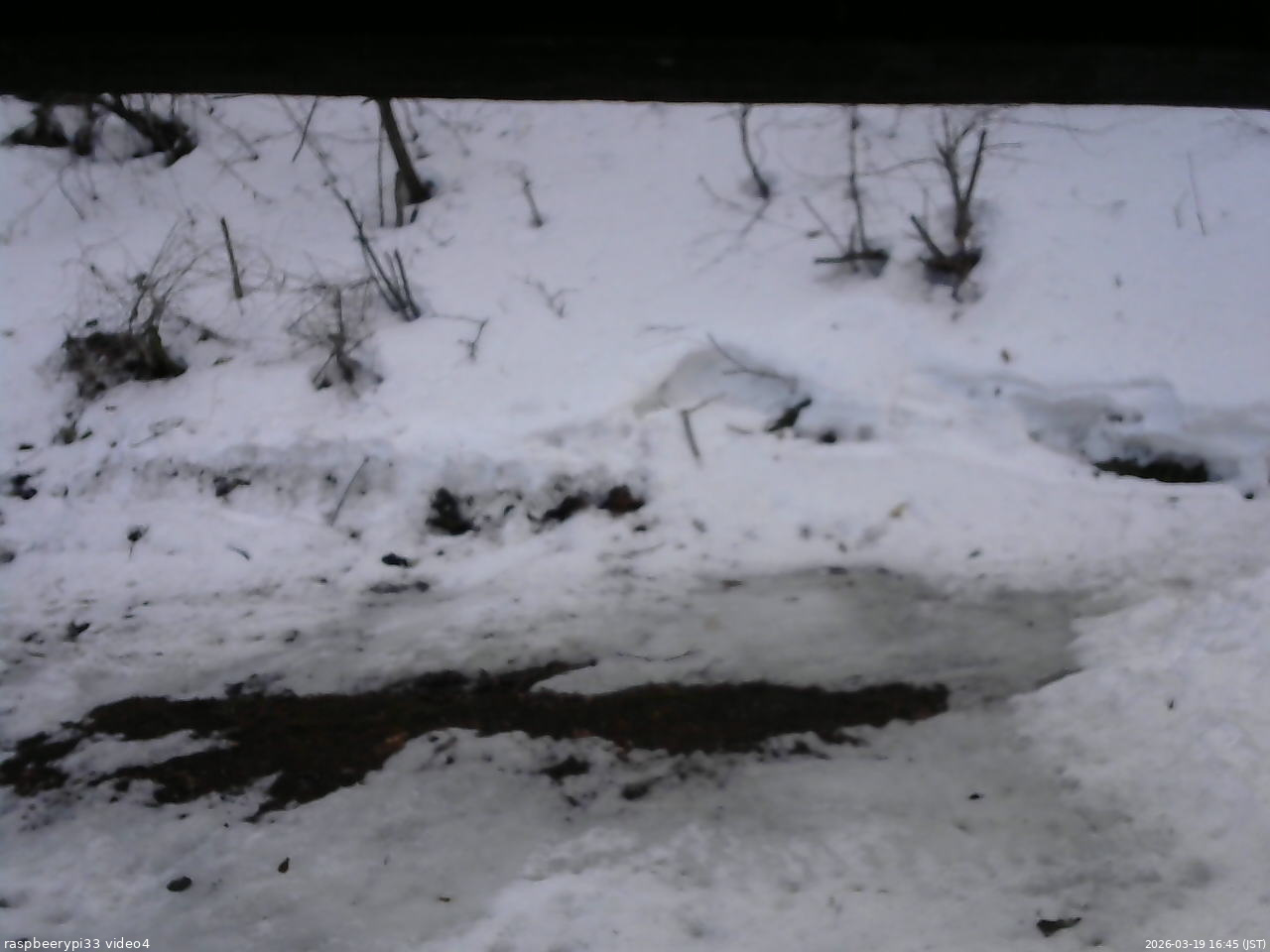 長野県菅平高原 ゆたか山荘 東側(坂下) 2026/03/19 16:45