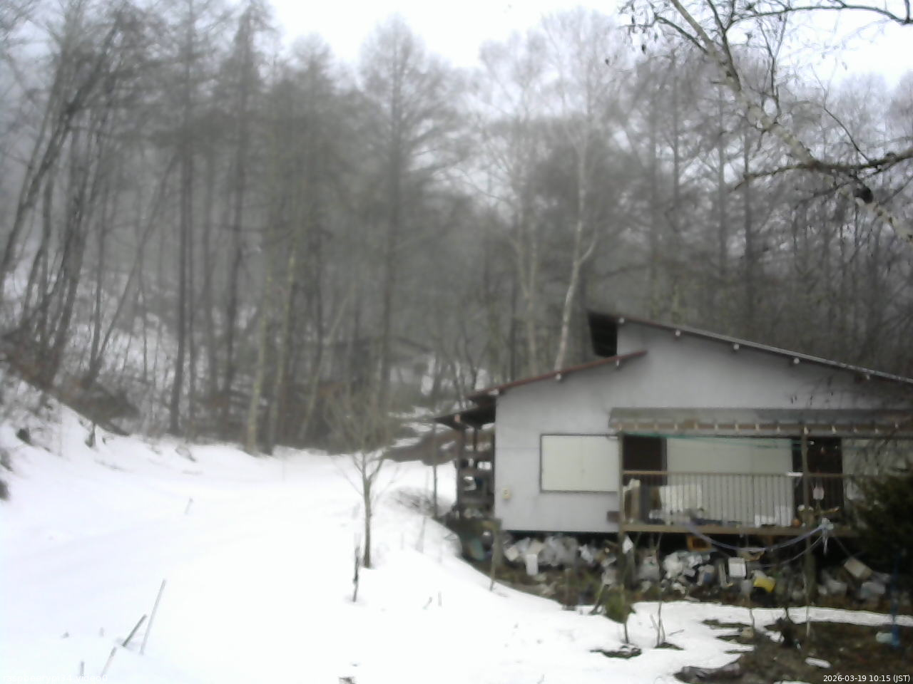 長野県菅平高原 ゆたか山荘 西側(坂上) 2026/03/19 10:15