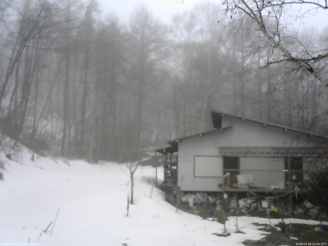 長野県菅平高原 ゆたか山荘 西側(坂上) 2026/03/19 11:00