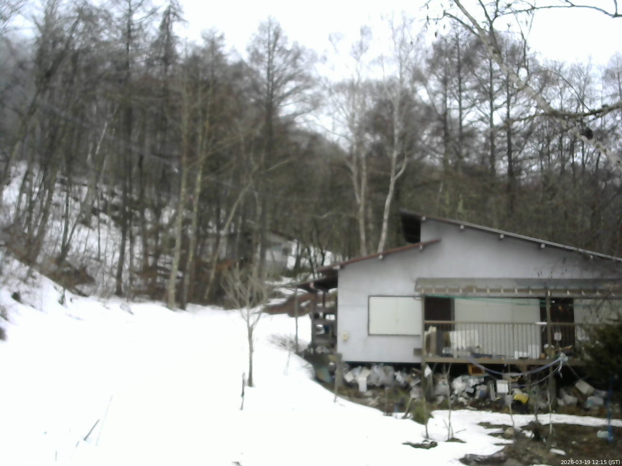 長野県菅平高原 ゆたか山荘 西側(坂上) 2026/03/19 12:15