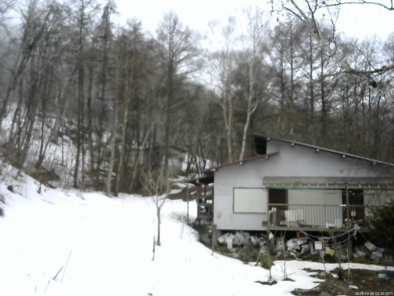 長野県菅平高原 ゆたか山荘 西側(坂上) 2026/03/19 12:30