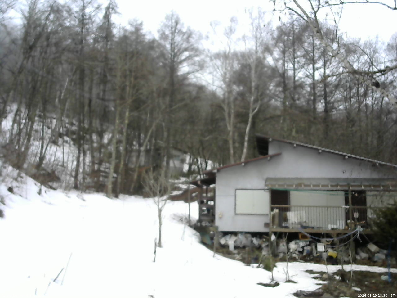 長野県菅平高原 ゆたか山荘 西側(坂上) 2026/03/19 13:30
