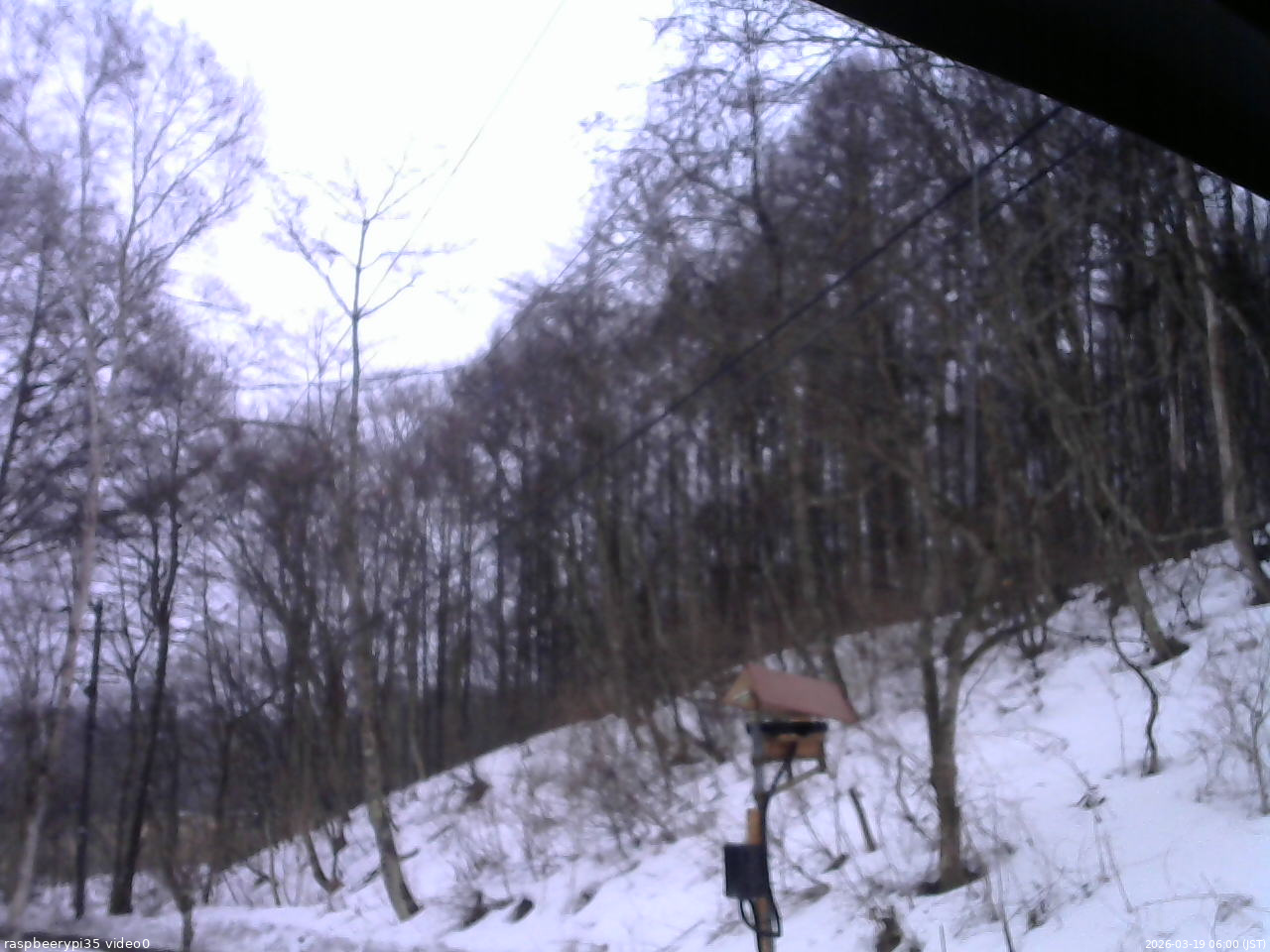 長野県菅平高原 ゆたか山荘 温度計 2026/03/19 06:00