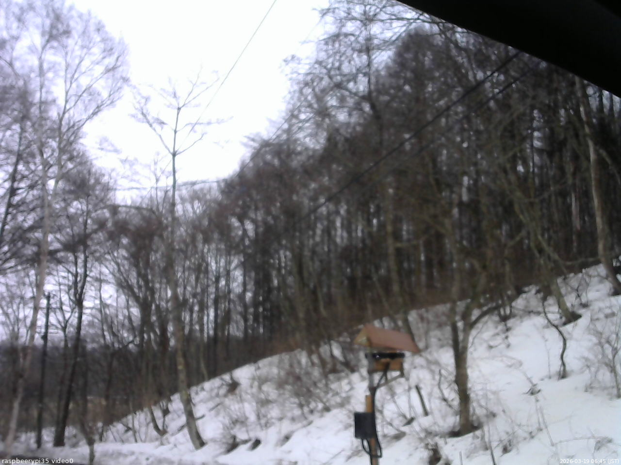 長野県菅平高原 ゆたか山荘 温度計 2026/03/19 06:45