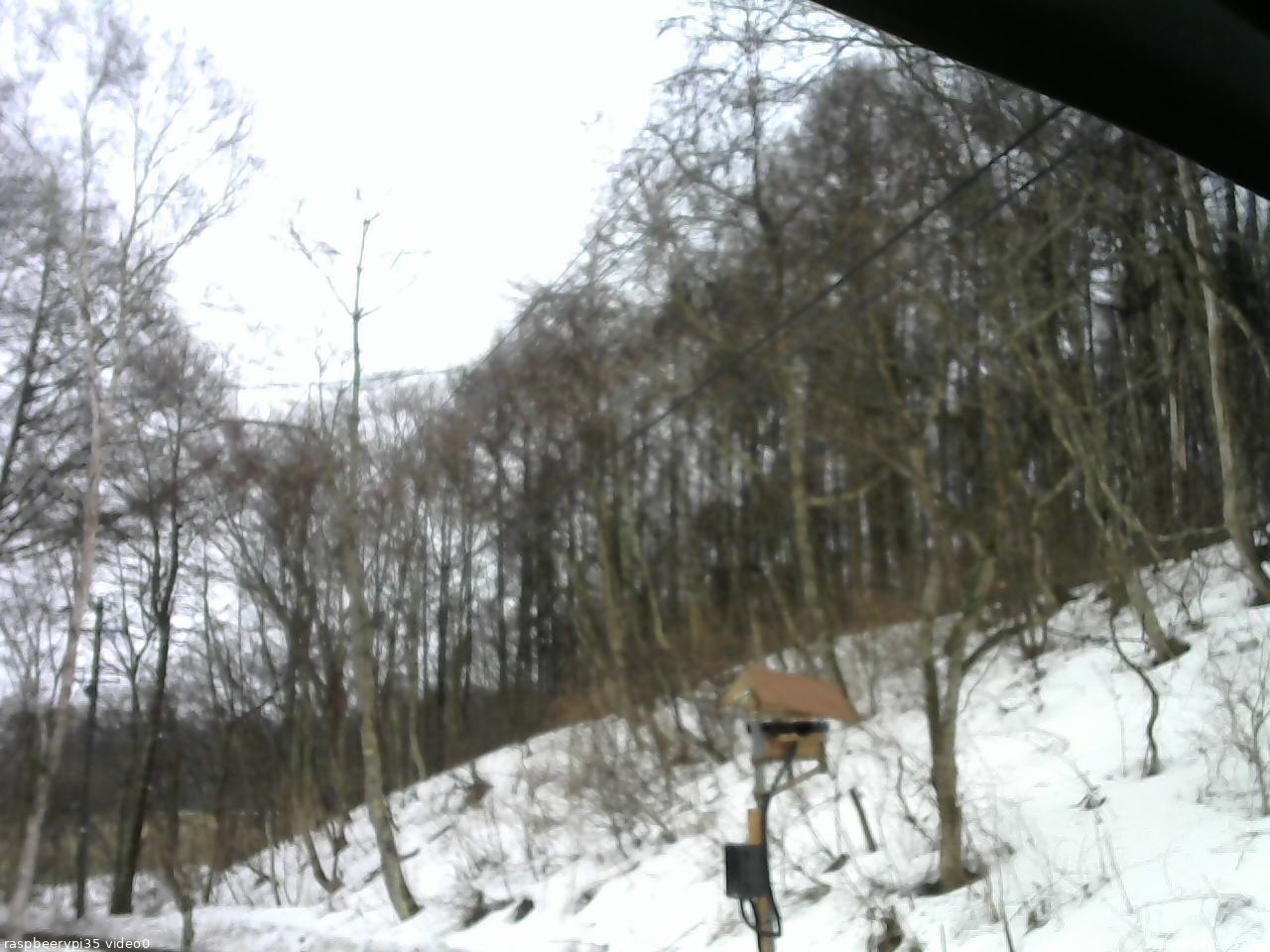 長野県菅平高原 ゆたか山荘 温度計 2026/03/19 09:45