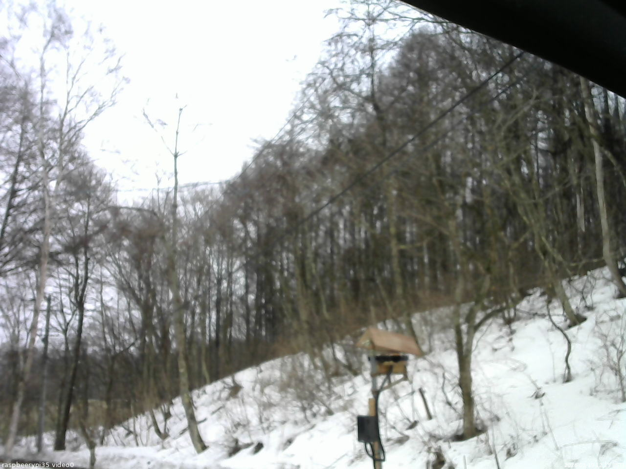 長野県菅平高原 ゆたか山荘 温度計 2026/03/19 12:15