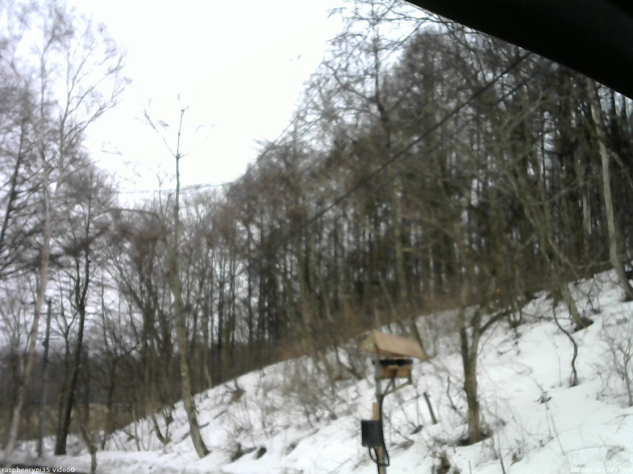 長野県菅平高原 ゆたか山荘 温度計 2026/03/19 13:00
