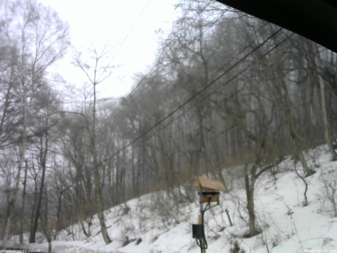 長野県菅平高原 ゆたか山荘 温度計 2026/03/19 13:45