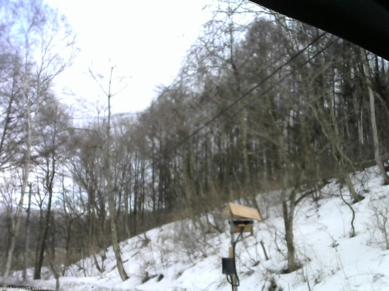 長野県菅平高原 ゆたか山荘 温度計 2026/03/19 14:30