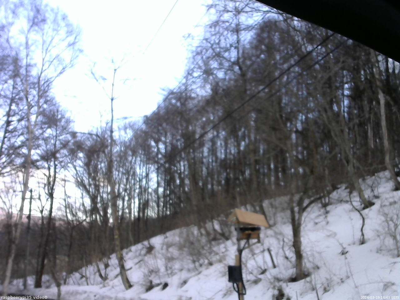 長野県菅平高原 ゆたか山荘 温度計 2026/03/19 16:45