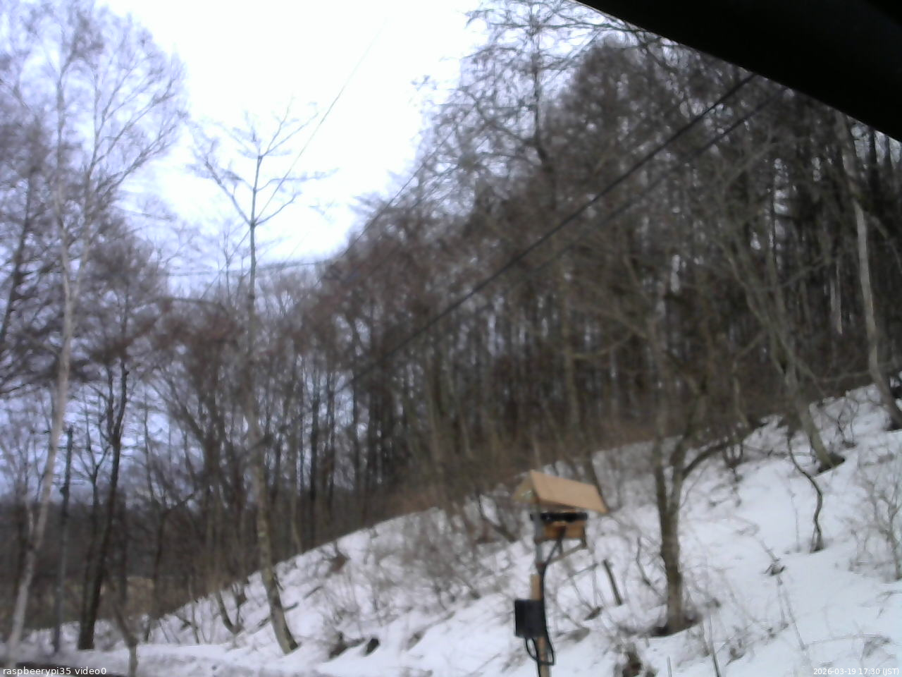 長野県菅平高原 ゆたか山荘 温度計 2026/03/19 17:30