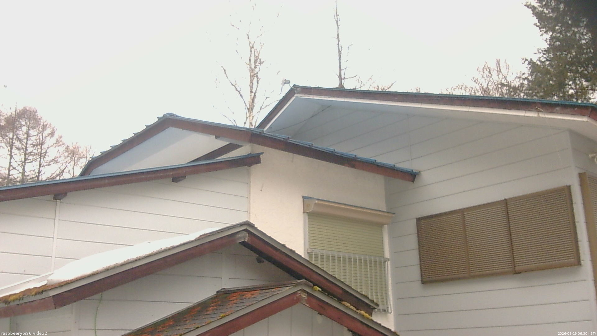 長野県菅平高原 ゆたか山荘 駐車場奥 2026/03/19 06:30