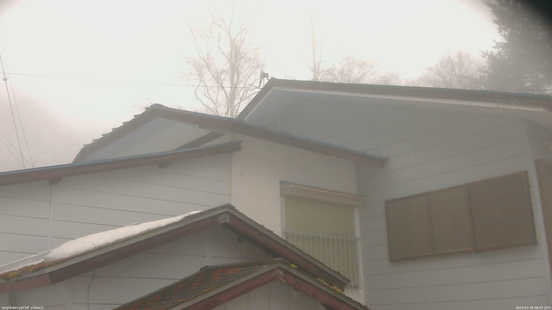 長野県菅平高原 ゆたか山荘 駐車場奥 2026/03/19 08:45