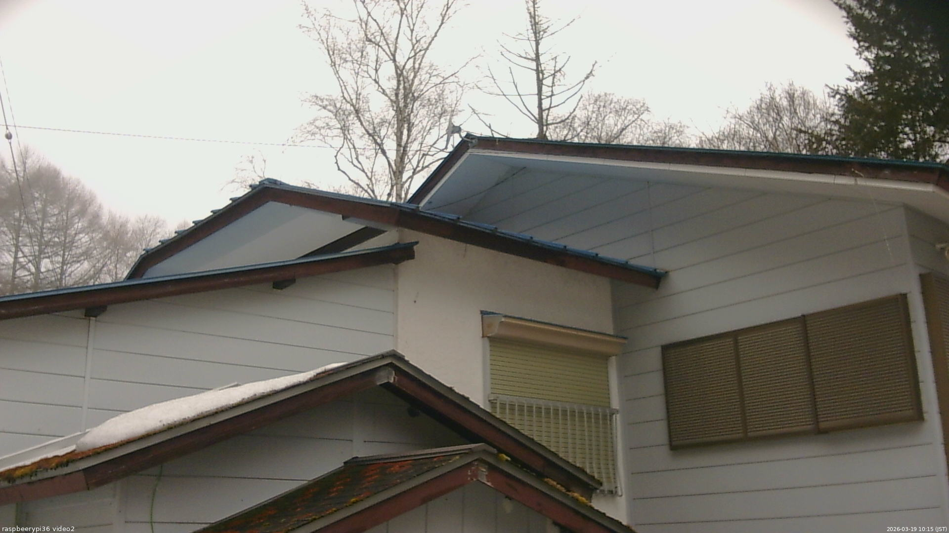 長野県菅平高原 ゆたか山荘 駐車場奥 2026/03/19 10:15