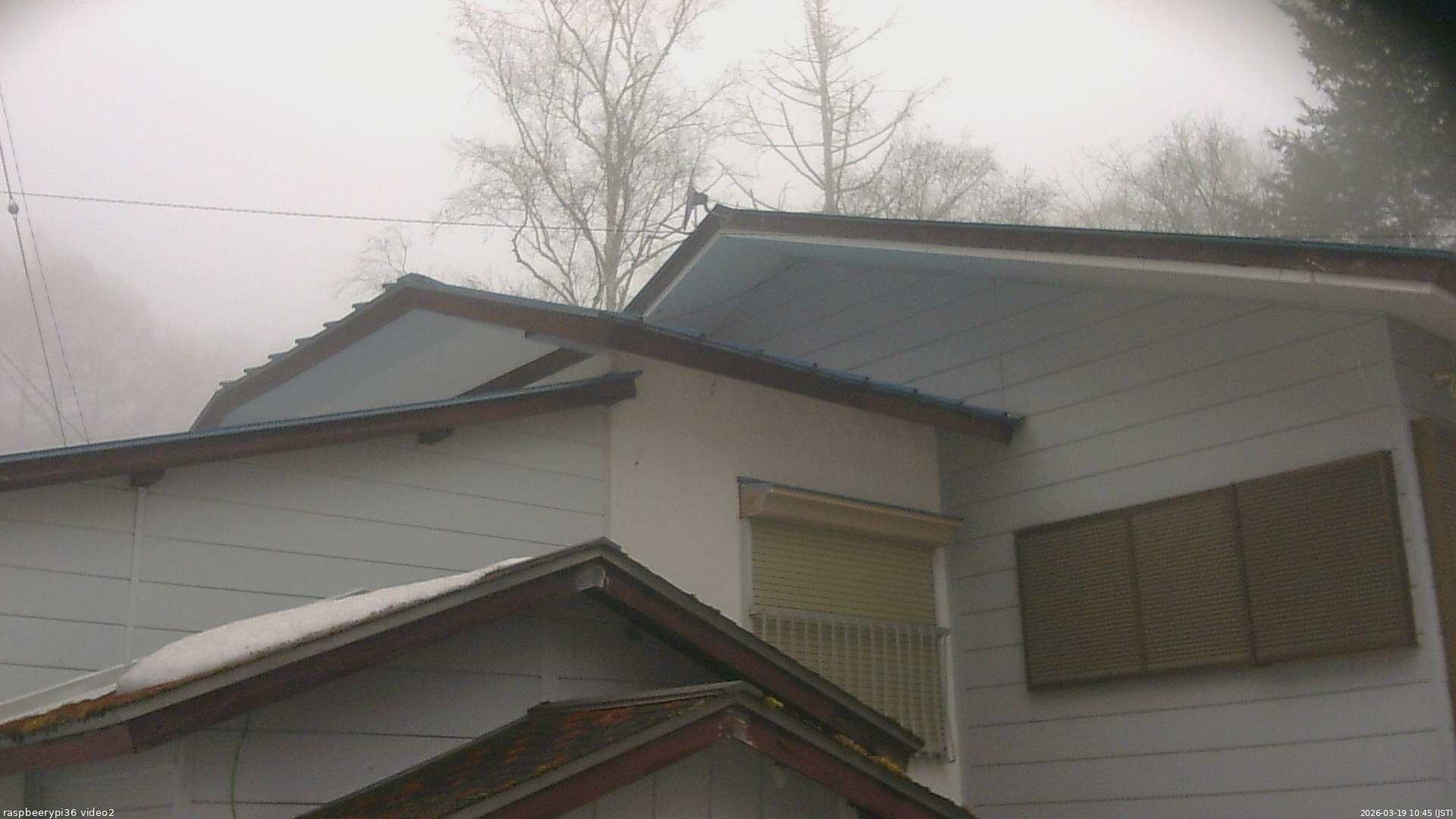 長野県菅平高原 ゆたか山荘 駐車場奥 2026/03/19 10:45