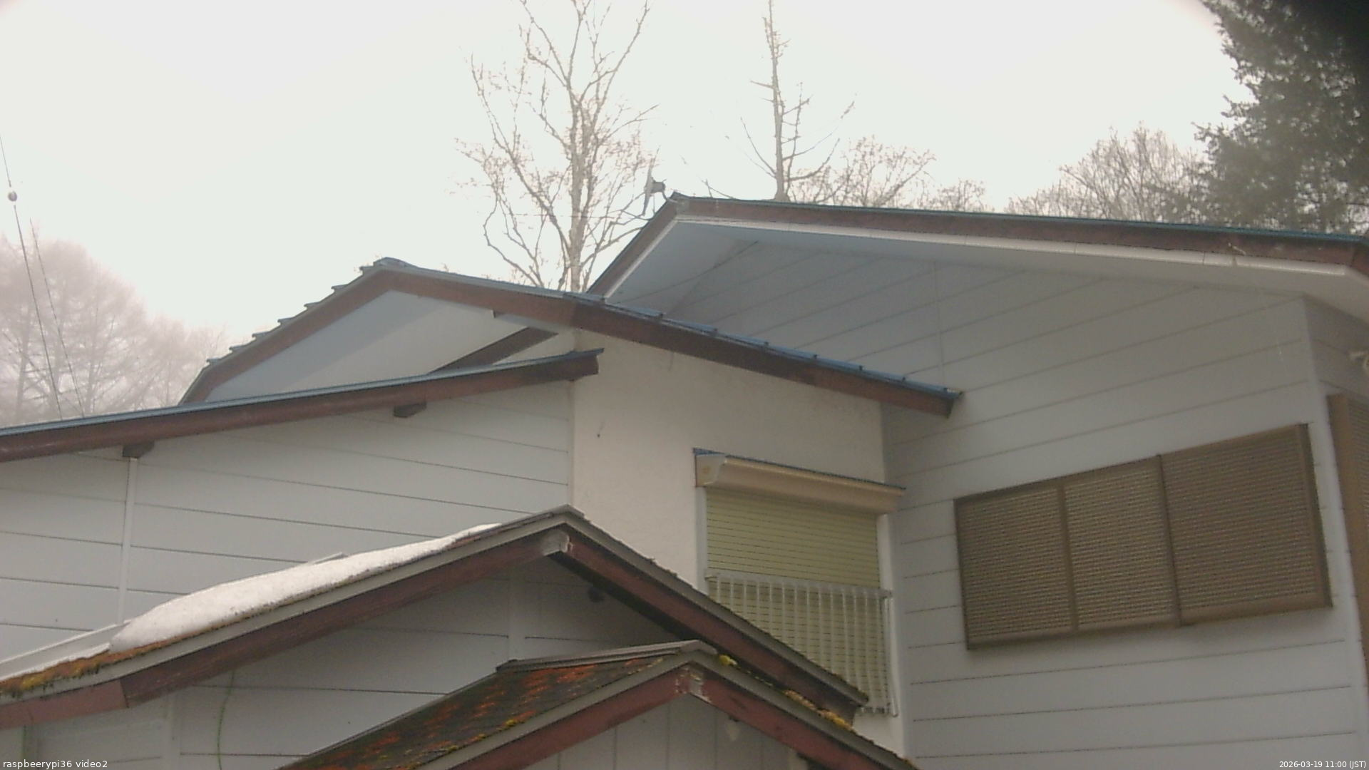 長野県菅平高原 ゆたか山荘 駐車場奥 2026/03/19 11:00