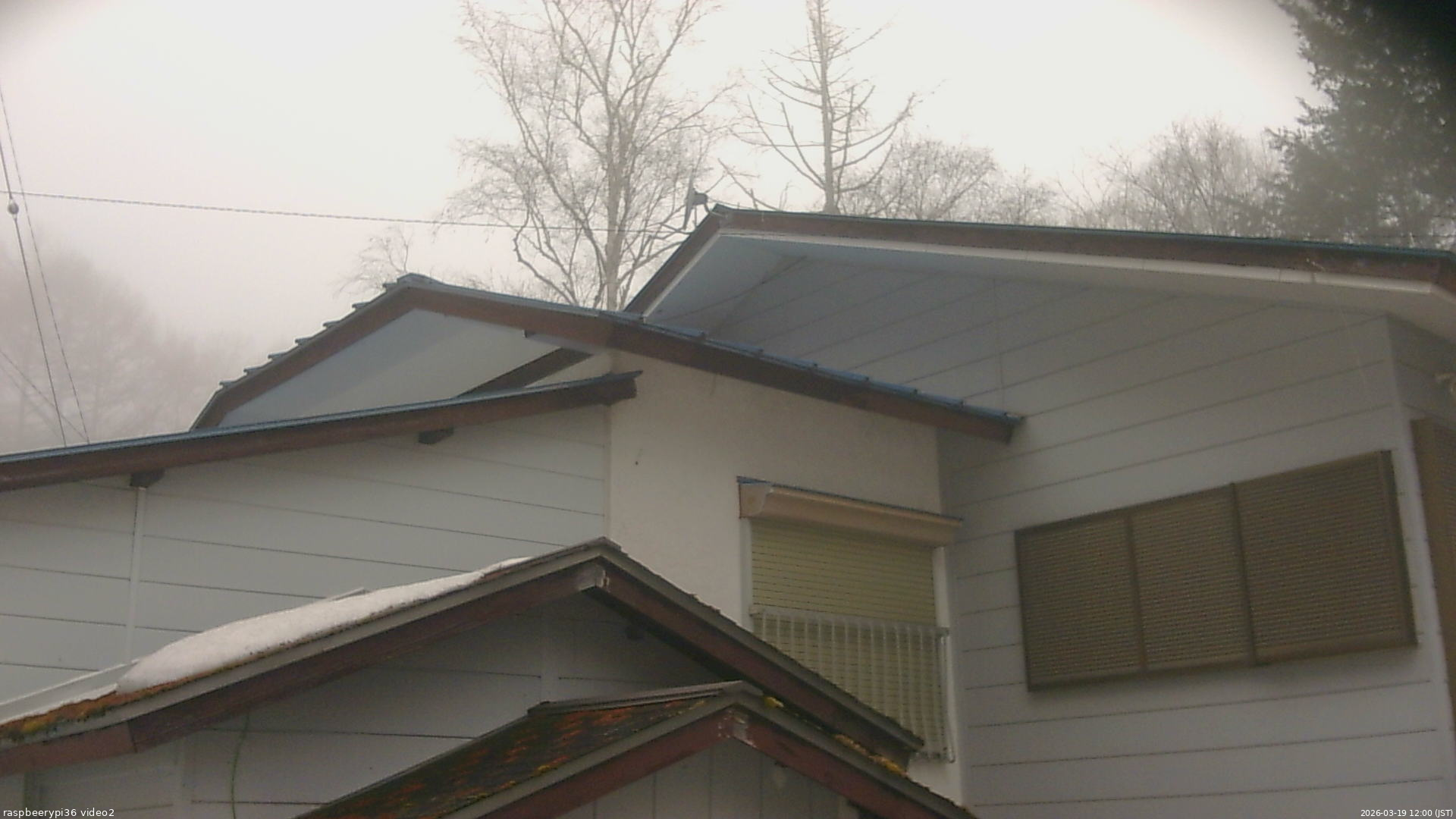 長野県菅平高原 ゆたか山荘 駐車場奥 2026/03/19 12:00