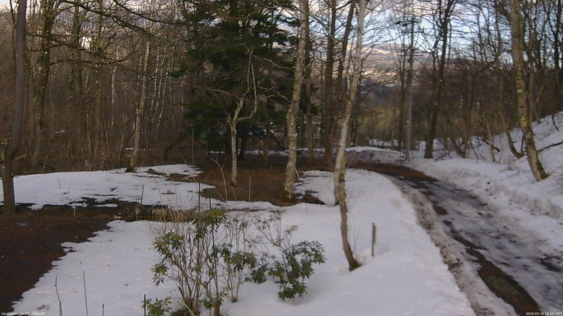 長野県菅平高原 ゆたか山荘 坂上 2026/03/19 16:00