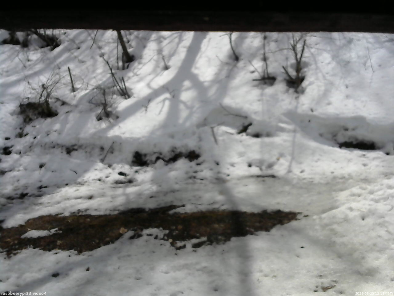 長野県菅平高原 ゆたか山荘 東側(坂下) 2026/03/20 12:15