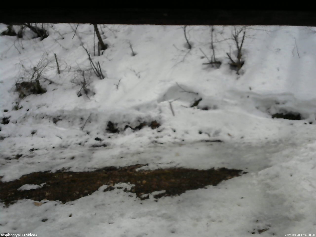 長野県菅平高原 ゆたか山荘 東側(坂下) 2026/03/20 12:45