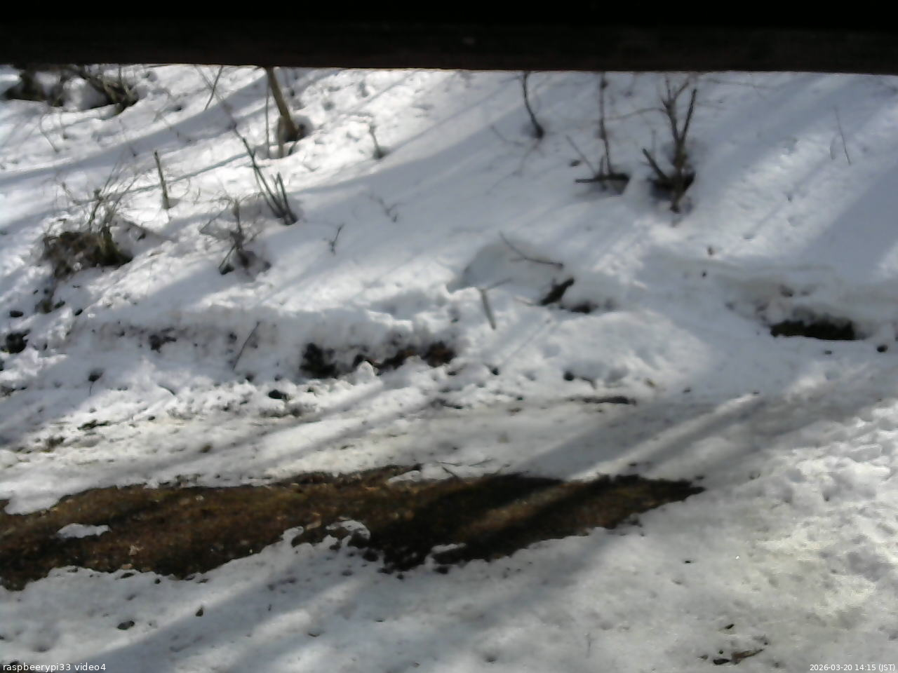 長野県菅平高原 ゆたか山荘 東側(坂下) 2026/03/20 14:15