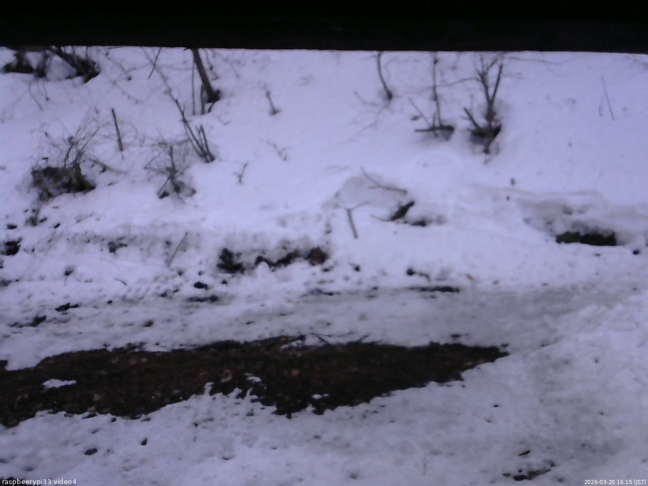 長野県菅平高原 ゆたか山荘 東側(坂下) 2026/03/20 16:15