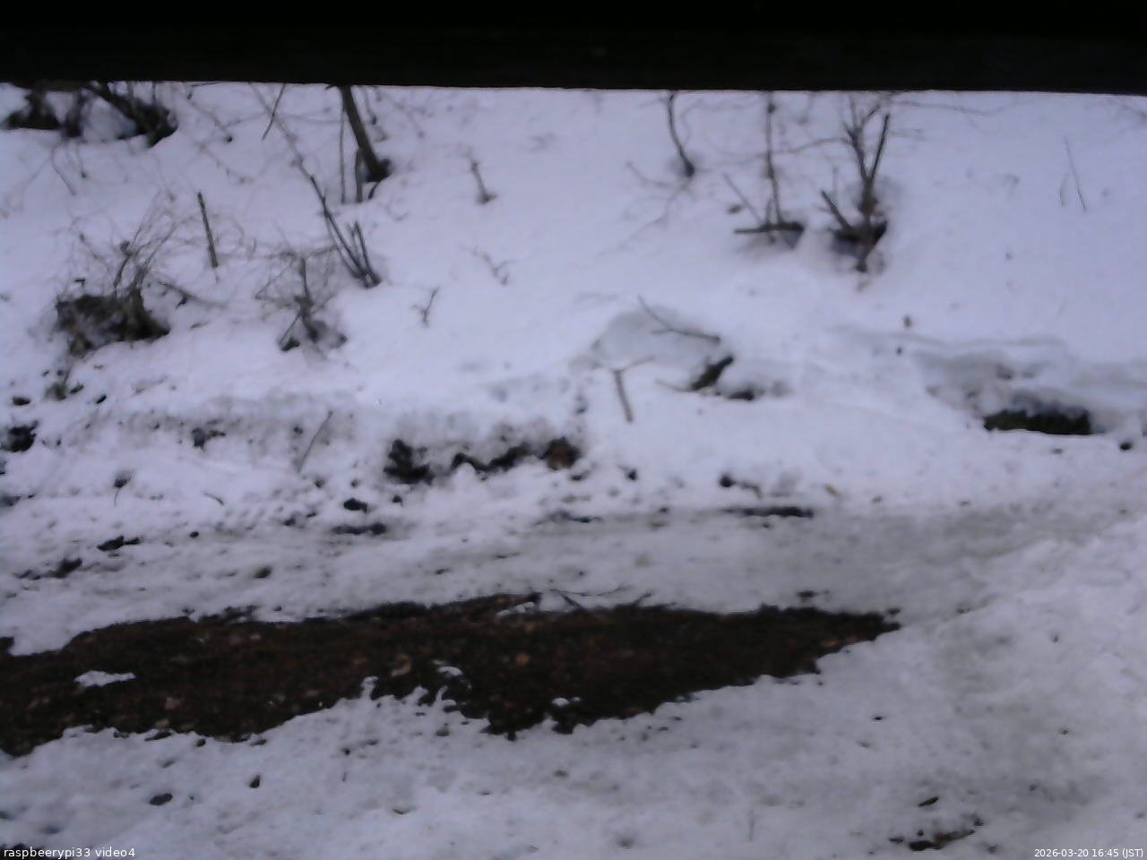 長野県菅平高原 ゆたか山荘 東側(坂下) 2026/03/20 16:45