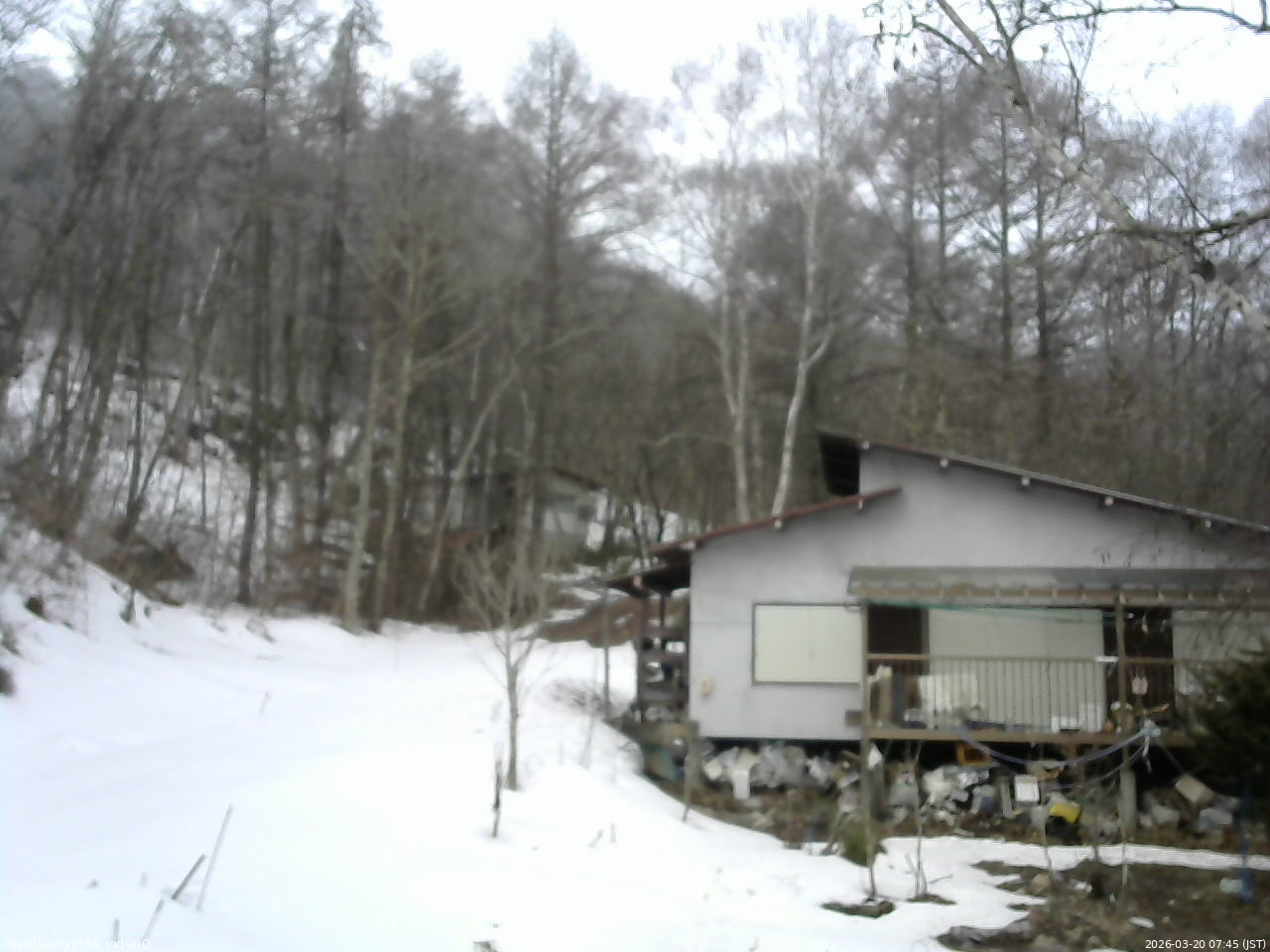 長野県菅平高原 ゆたか山荘 西側(坂上) 2026/03/20 07:45