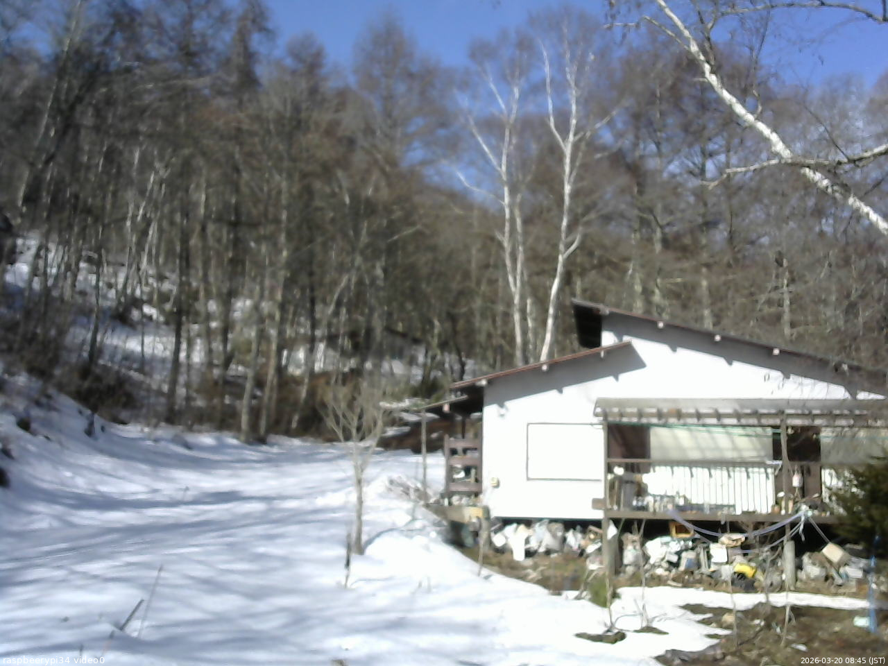 長野県菅平高原 ゆたか山荘 西側(坂上) 2026/03/20 08:45