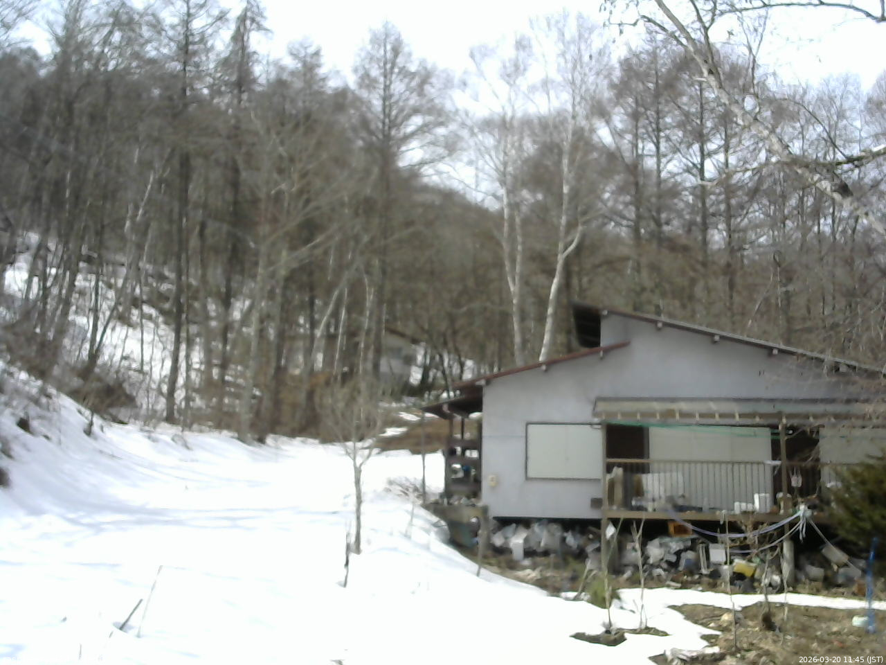 長野県菅平高原 ゆたか山荘 西側(坂上) 2026/03/20 11:45