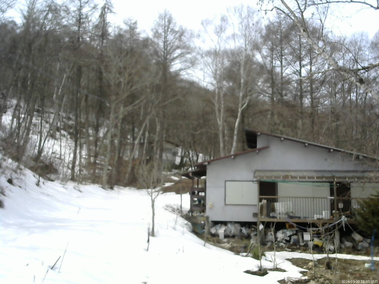 長野県菅平高原 ゆたか山荘 西側(坂上) 2026/03/20 12:00